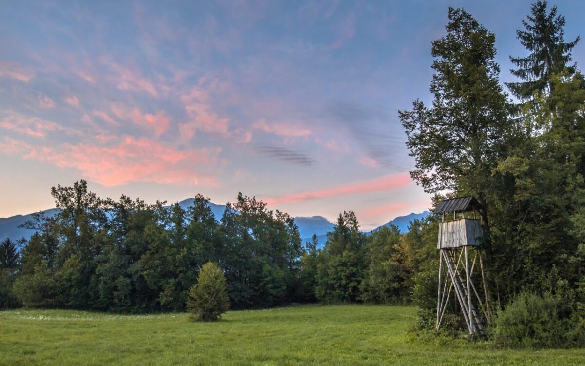 Juegdsyndikater – Eng Nofro